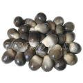 WHOLESALE PRICES DRIED STRAW MUSHROOM